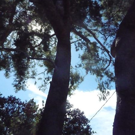 Woodland Hills Calabasas Guesthouses Los Angeles Zewnętrze zdjęcie