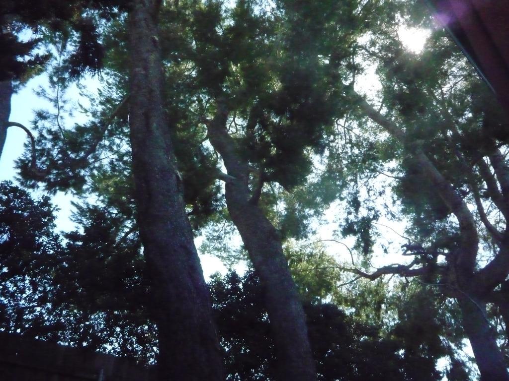 Woodland Hills Calabasas Guesthouses Los Angeles Zewnętrze zdjęcie